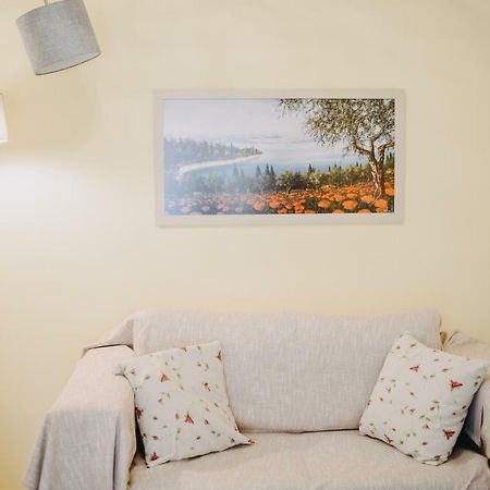 Best House, Rooftop Aprtm., Marina Zeas Pireus Zewnętrze zdjęcie